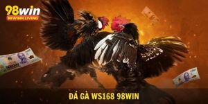 Đá Gà Ws168