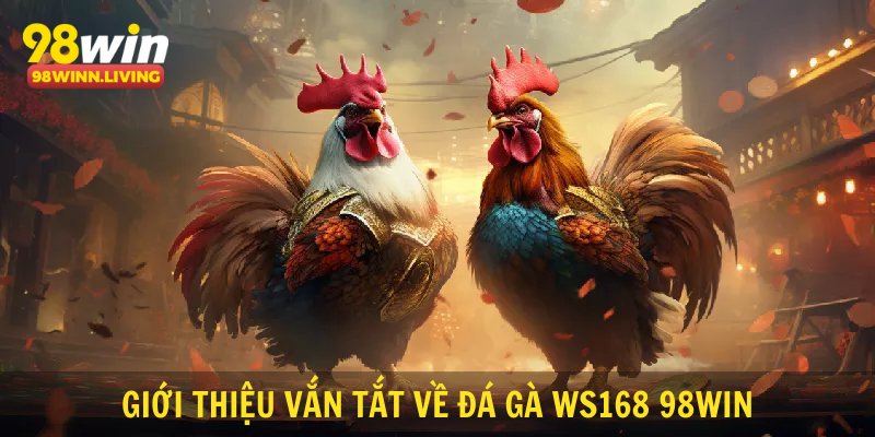 Giới thiệu vắn tắt về đá gà WS168 98WIN