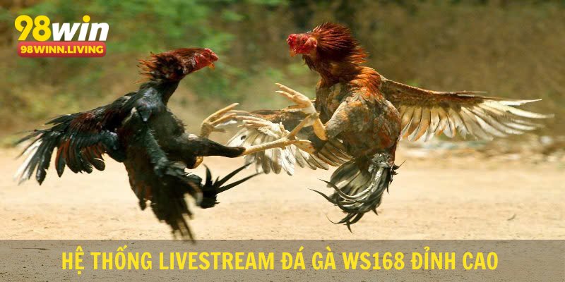Hệ thống Livestream đá gà WS168 đỉnh cao