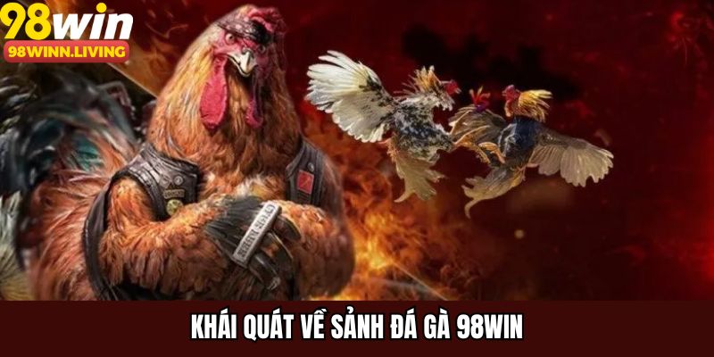 Khái quát về sảnh đá gà 98WIN