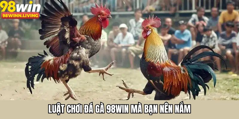 Luật chơi đá gà 98WIN mà bạn nên nắm